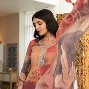 Blush Abstract Printed Kurta Set - Image 5
