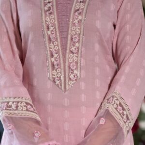Blush Pink Embroidered Chikankari Set - Image 4